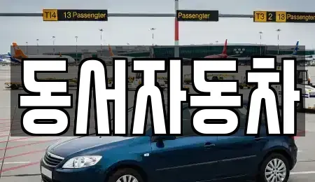 경북 포항시 북구 덕수동 중고차 전문 동서자동차