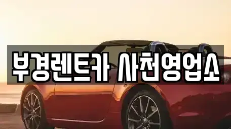 경상남도 사천시 동림동 렌트카 전문 부경렌트카 사천영업소