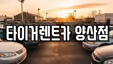 경상남도 양산시 유산동 렌트카 전문 타이거렌트카 양산점