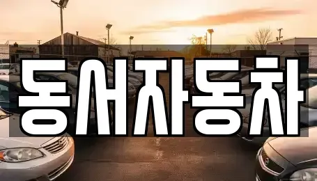 경상남도 의령군 용덕면 중고차매매 전문 동서자동차