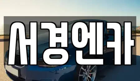 경상남도 진주시 하대동 렌트카 전문 서경엔카