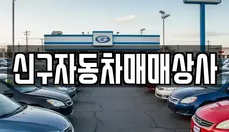 경상남도 창녕군 대지면 중고차매매 전문 신구자동차매매상사