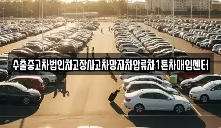 경상남도 창녕군 성산면 중고차 전문 수출중고차법인차고장사고차망자차압류차1톤차매입센터