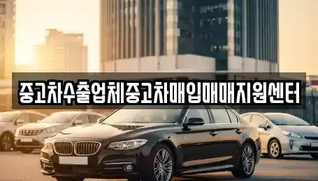 경상남도 창원시 마산합포구 대창동 중고차 전문 중고차수출업체중고차매입매매지원센터