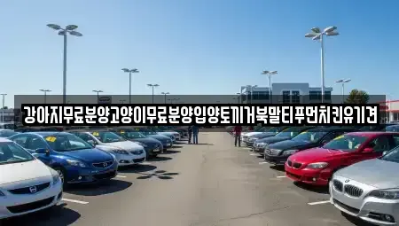 경상남도 창원시 마산합포구 대창동 중고차매입 전문 강아지무료분양고양이무료분양입양토끼거북말티푸먼치킨유기견