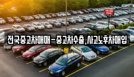 경상남도 창원시 마산합포구 대창동 중고차매입 전문 전국중고차매매-중고차수출,사고노후차매입
