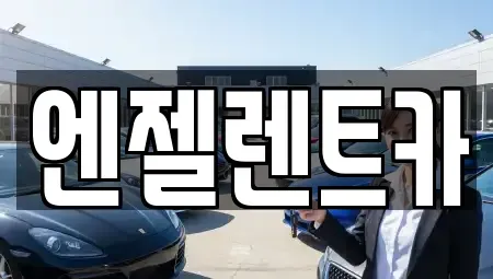경상남도 창원시 마산합포구 부림동 렌트카 전문 엔젤렌트카
