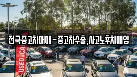 경상남도 창원시 마산합포구 부림동 중고차매입 전문 전국중고차매매-중고차수출,사고노후차매입