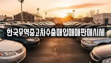 경상남도 창원시 마산합포구 부림동 중고차매입 전문 한국무역중고차수출매입매매판매시세
