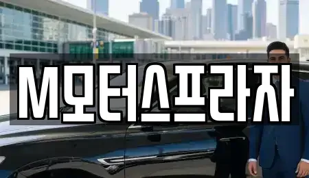 경상남도 창원시 성산구 양곡동 중고차매매 전문 M모터스프라자