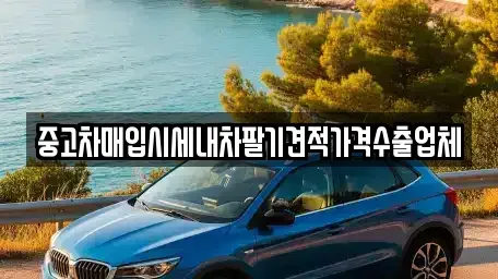 경상남도 창원시 의창구 동읍 중고차매입 전문 중고차매입시세내차팔기견적가격수출업체