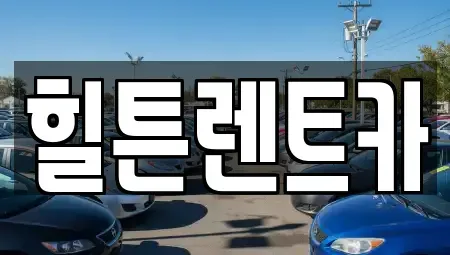 경상남도 창원시 진해구 덕산동 렌트카 전문 힐튼렌트카