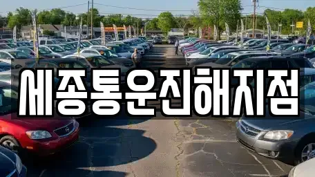 경상남도 창원시 진해구 용원동 렌트카 전문 세종통운진해지점