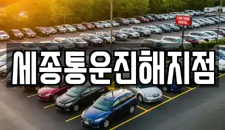 경상남도 창원시 진해구 용원동 렌트카 전문 세종통운진해지점