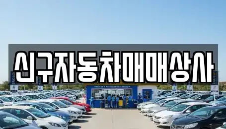 경상남도 창원시 진해구 용원동 중고차 전문 신구자동차매매상사