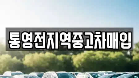 경상남도 통영시 북신동 단기렌트카,중고차매입,중고차매매,중고차,렌트카,장기렌트카
