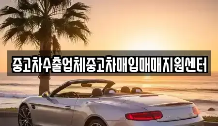 경상남도 함양군 지곡면 중고차매입 전문 중고차수출업체중고차매입매매지원센터
