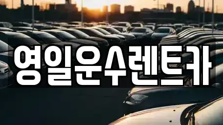 경상남도 합천군 합천읍 렌트카 전문 영일운수렌트카