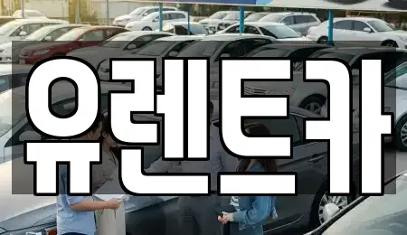경상북도 경산시 백천동 렌트카 전문 유렌트카