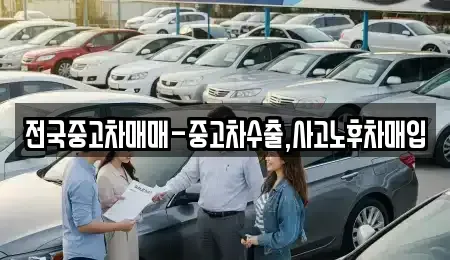 경상북도 경산시 백천동 중고차매매 전문 전국중고차매매-중고차수출,사고노후차매입