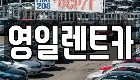 경상북도 경산시 하양읍 렌트카 전문 영일렌트카