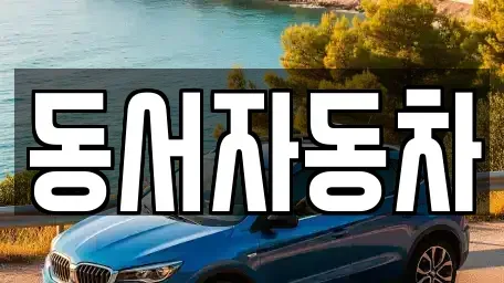 경상북도 경주시 남산동 중고차매매 전문 동서자동차