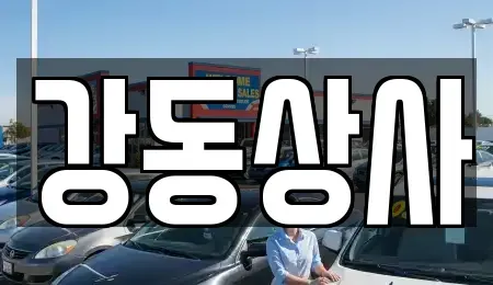 경상북도 구미시 구평동 중고차매매 전문 강동상사