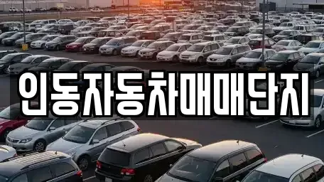 경상북도 구미시 구평동 중고차매매 전문 인동자동차매매단지