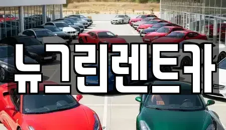 경상북도 구미시 비산동 렌트카 전문 뉴그린렌트카