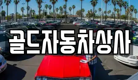 경상북도 구미시 신동 중고차 전문 골드자동차상사