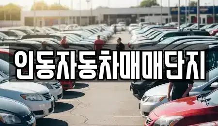 경상북도 구미시 신동 중고차 전문 인동자동차매매단지
