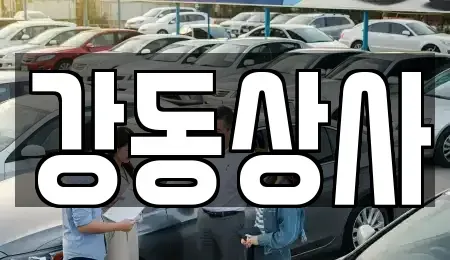 경상북도 구미시 신동 중고차매입 전문 강동상사