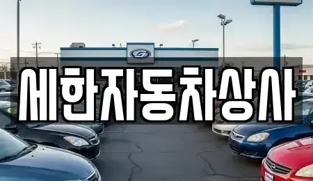 경상북도 김천시 대광동 중고차매매 전문 세한자동차상사