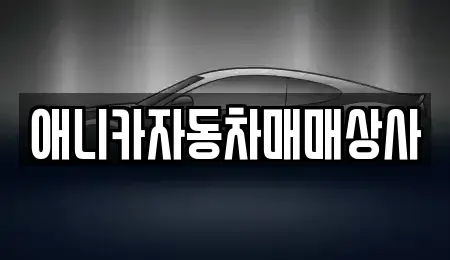 경상북도 김천시 아포읍 중고차매매 전문 애니카자동차매매상사
