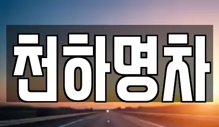 경상북도 김천시 아포읍 중고차매입 전문 천하명차
