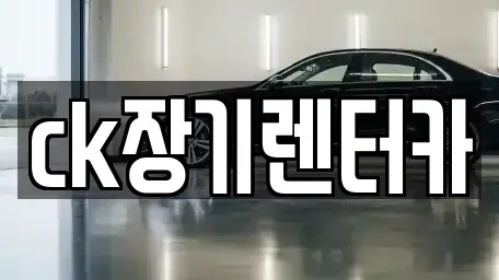 경상북도 김천시 응명동 렌트카 전문 ck장기렌터카