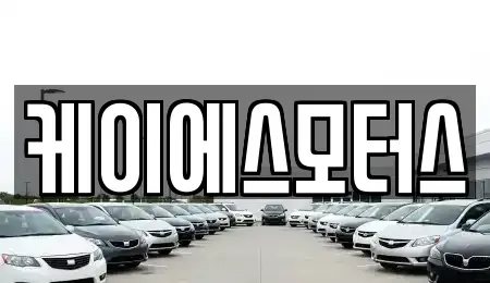 경상북도 김천시 응명동 중고차 전문 케이에스모터스