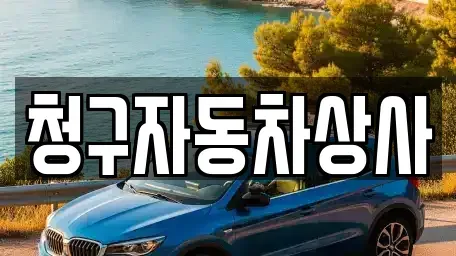 경상북도 상주시 성동동 중고차 전문 청구자동차상사