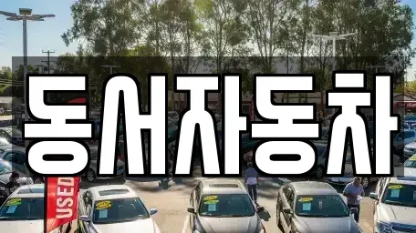 경상북도 상주시 화개동 중고차 전문 동서자동차