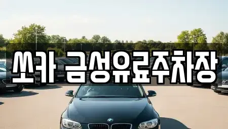 경상북도 안동시 남문동 렌트카 전문 쏘카 금성유료주차장