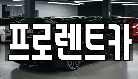 경상북도 안동시 남문동 렌트카 전문 프로렌트카
