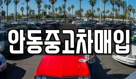 경상북도 안동시 남문동 중고차 전문 안동중고차매입