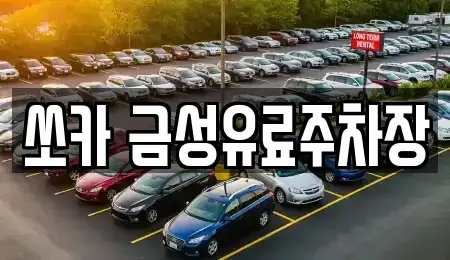 경상북도 안동시 서부동 렌트카 전문 쏘카 금성유료주차장