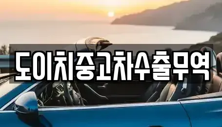 경상북도 안동시 수하동 중고차 전문 도이치중고차수출무역