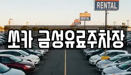 경상북도 안동시 안막동 렌트카 전문 쏘카 금성유료주차장