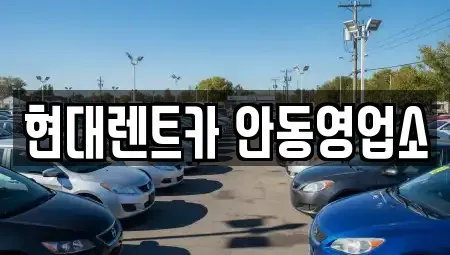 경상북도 안동시 안막동 렌트카,단기렌트카,장기렌트카,중고차,중고차매매,중고차매입