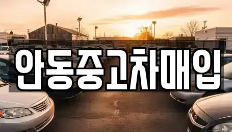 경상북도 안동시 안막동 중고차 전문 안동중고차매입