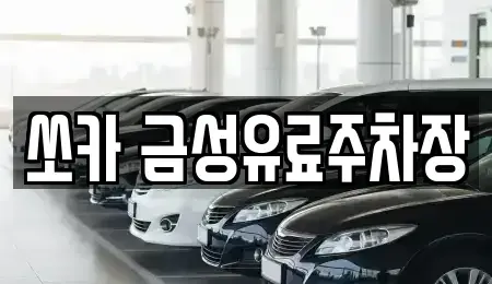 경상북도 안동시 율세동 렌트카 전문 쏘카 금성유료주차장