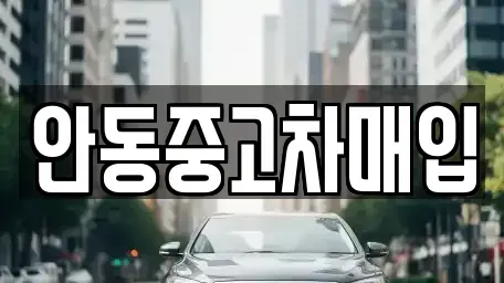 경상북도 안동시 율세동 중고차매매,단기렌트카,중고차매입,장기렌트카,중고차,렌트카