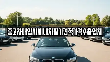 경상북도 안동시 율세동 중고차매매 전문 중고차매입시세내차팔기견적가격수출업체